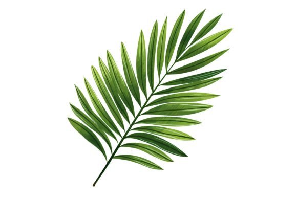 Palm Leaf Clipart for Creative Projects